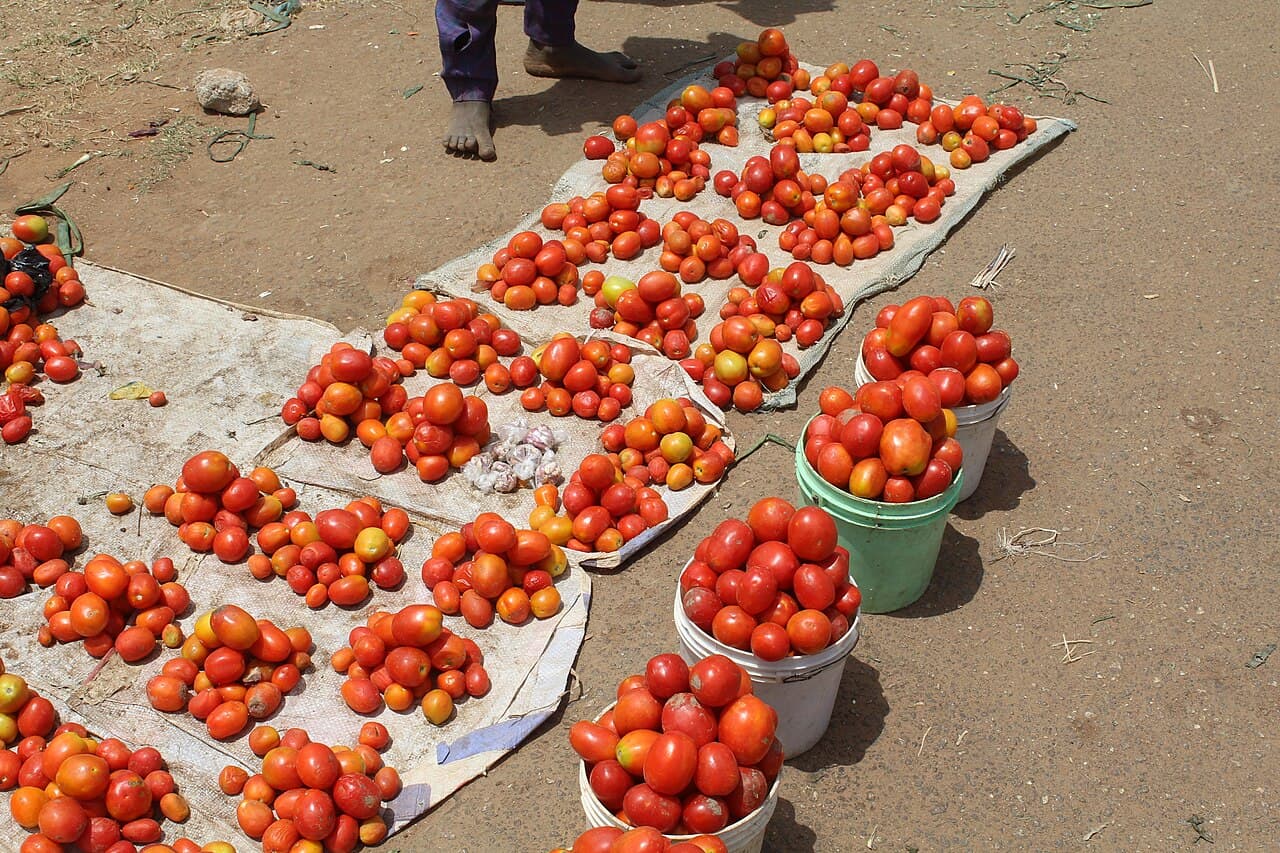 Illustration provisoire : tas de tomates vendus au marché.